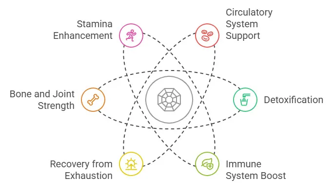 Garnet's Role in Female Reproductive Health